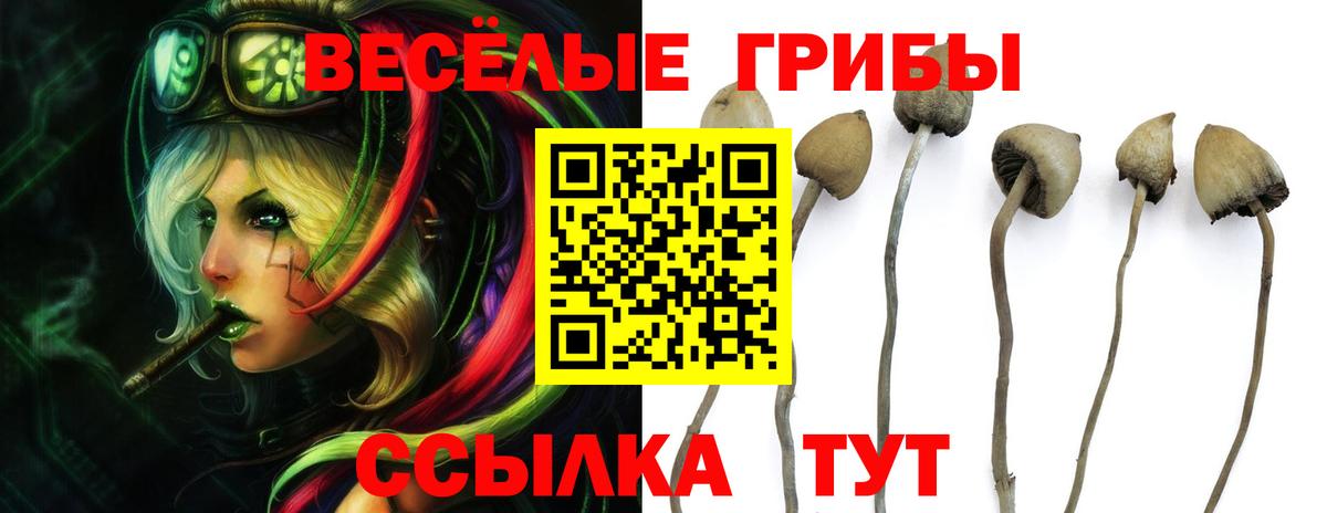 Галлюциногенные грибы мухоморы Тобольск