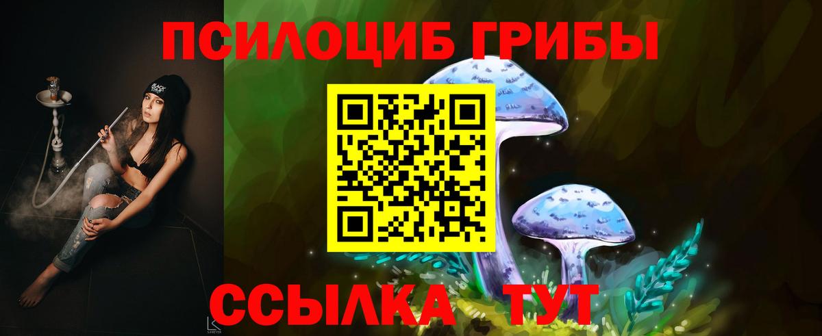 Тобольск  Псилоцибиновые грибы Psilocybine cubensis  Вход с VPN 